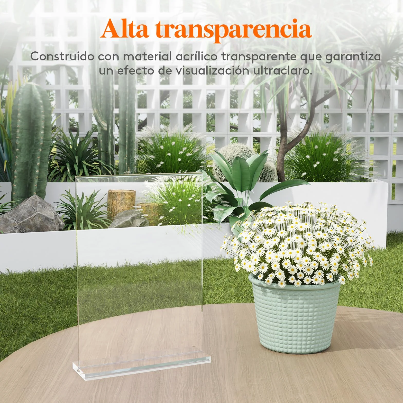 Lifewit Soporte Acrílico para Carteles A4 6 Pack, Doble Cara Transparente, Marco de Fotos de Plástico, 30 x 21 cm