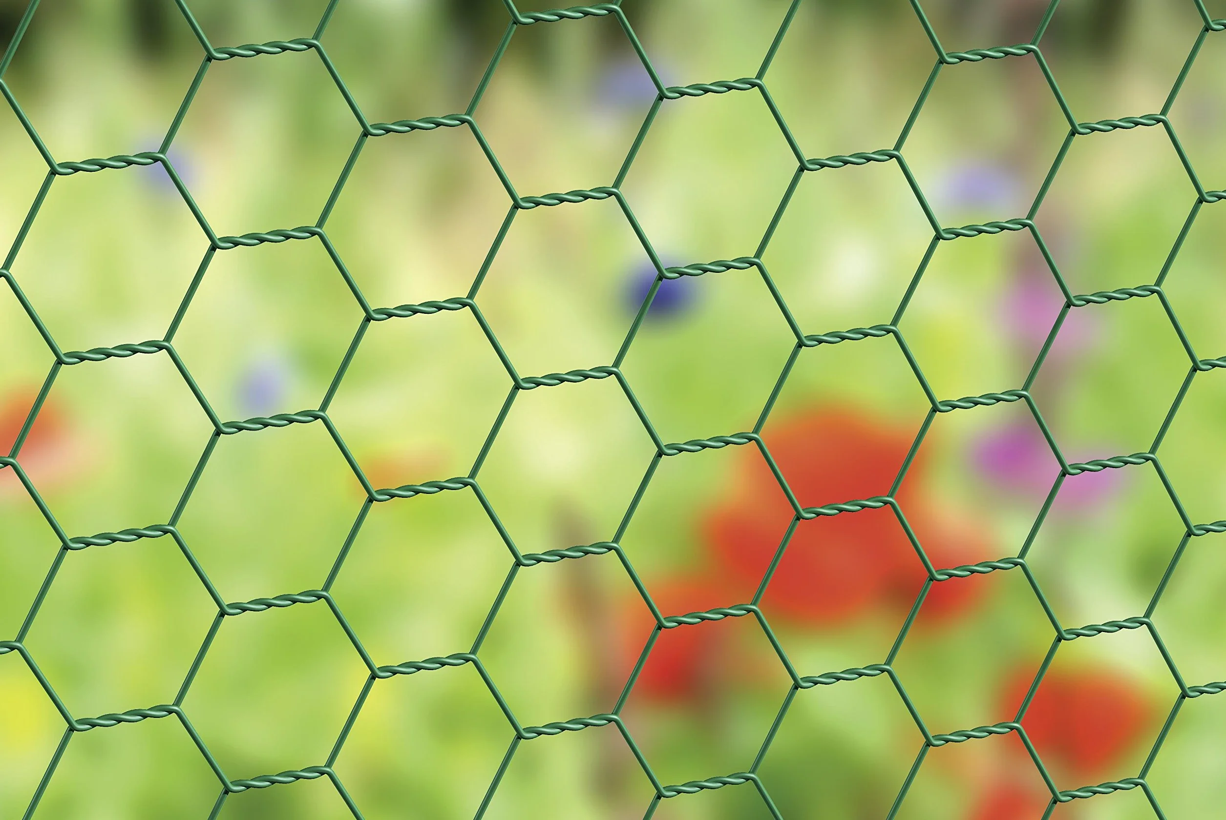 Alberts 614232 Tela metálica de malla hexagonal, Distintas longitudes y alturas - disponible en diferentes colores, Verde, Mallas 25 x 25 mm, Altura 50 cm, Longitud 25 m