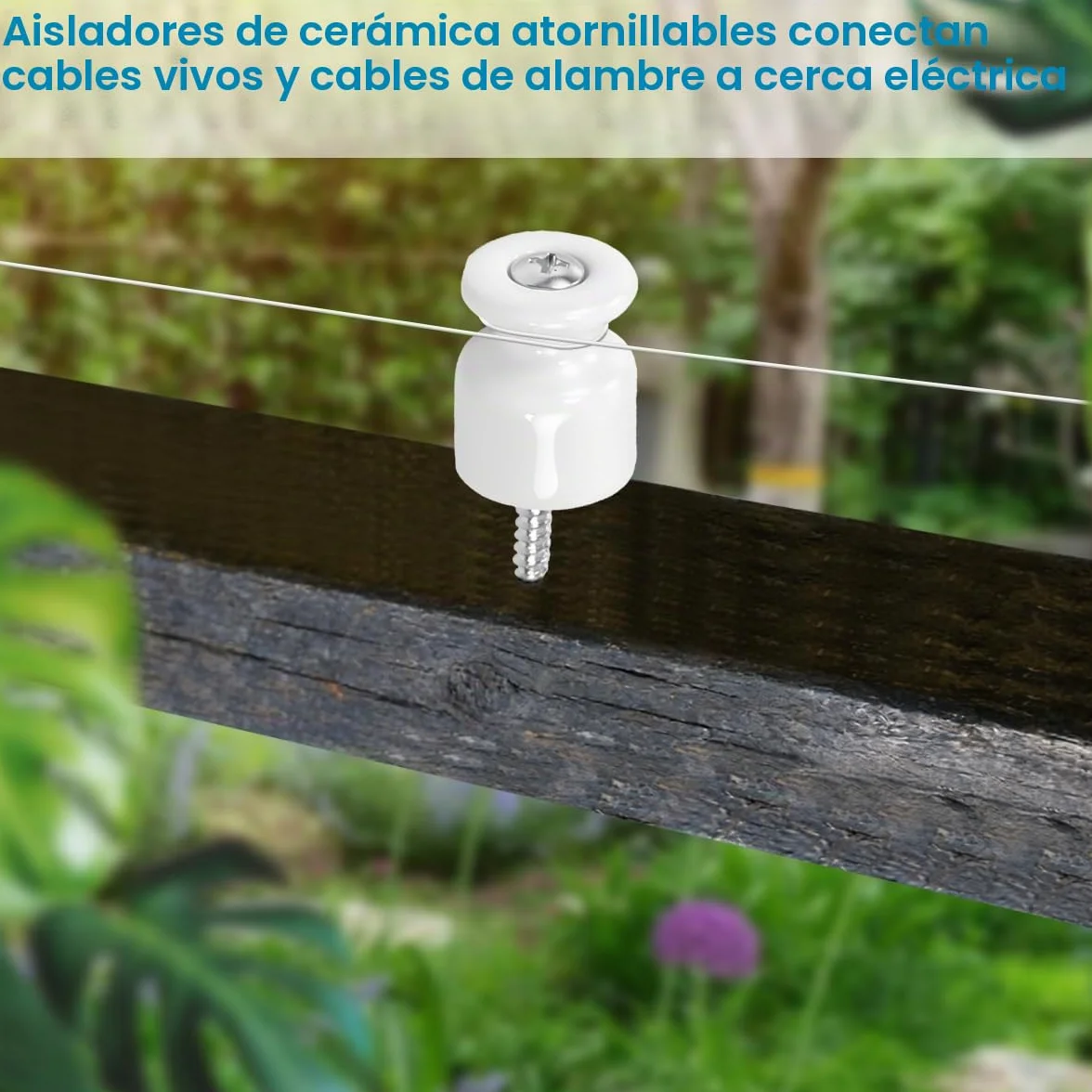 20PCS Aisladores de Porcelana para Cable Trenzado Ø19 mm, Abrazadera Cable Porcelana, Aisladores de Ceramica Blanco, Aislante dePorcelana con Tornillos y Tacos para Seguridad deCable Eléctrico