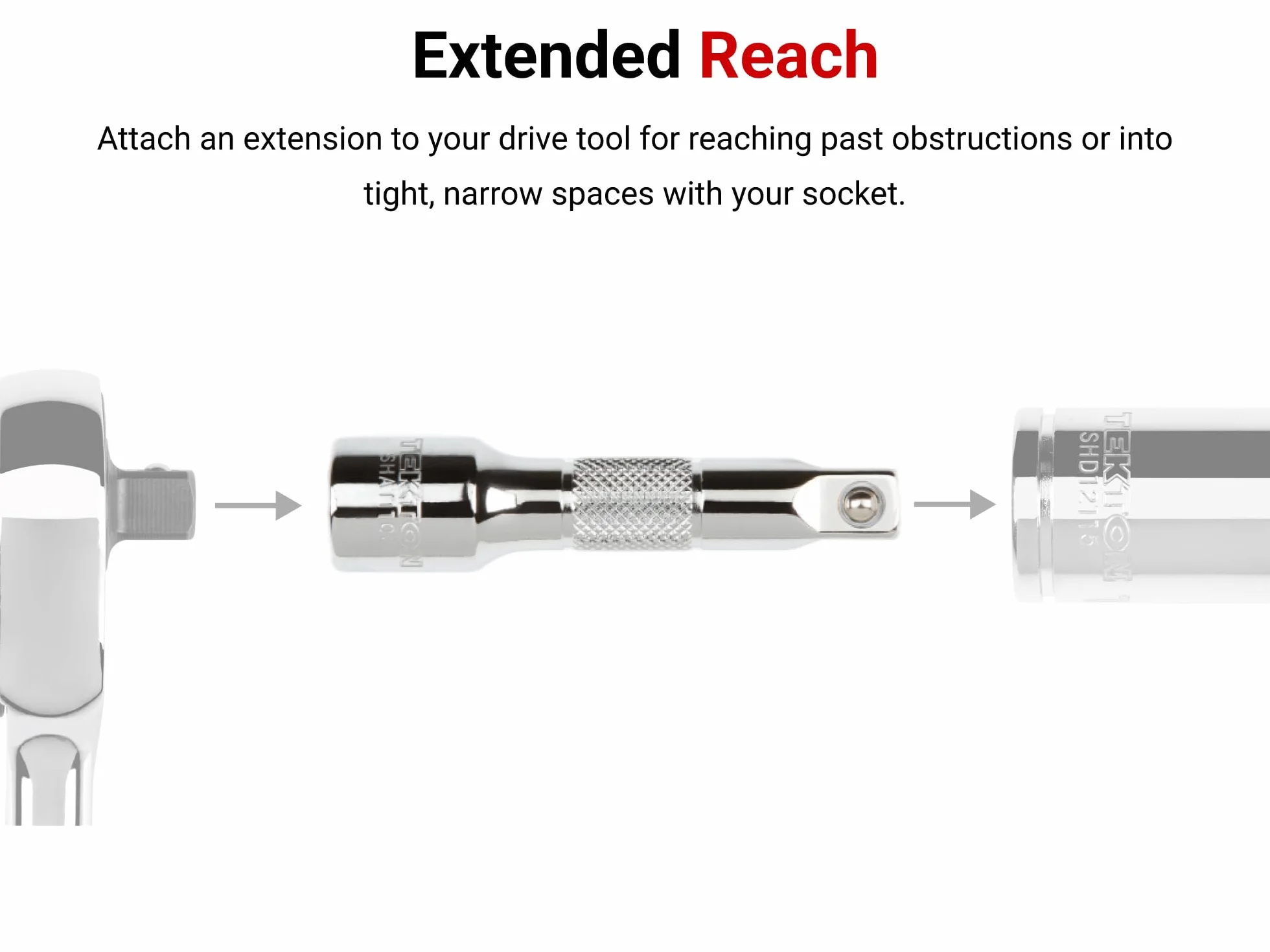 TEKTON