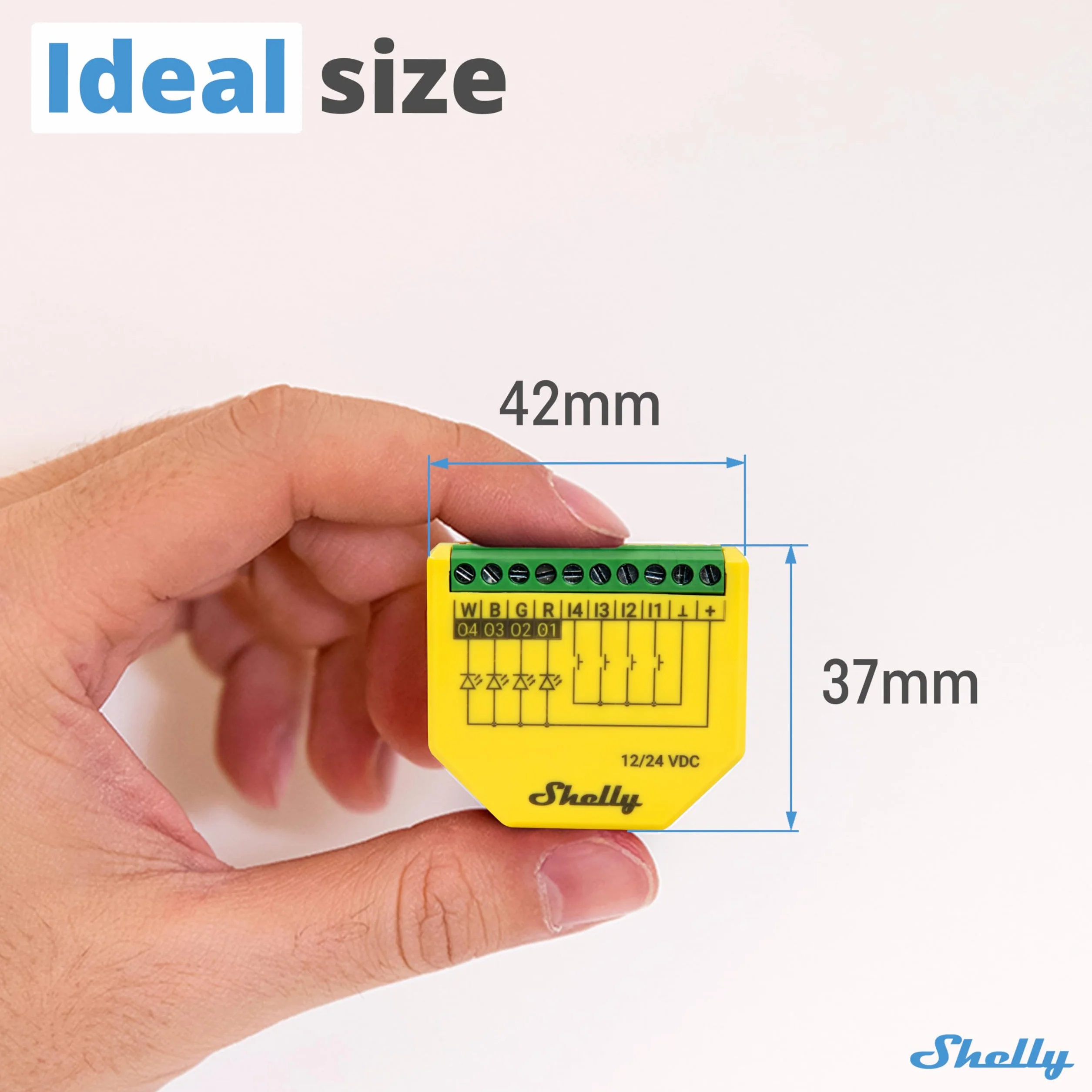 Shelly Plus RGBW PM- Módulo Controlador RGBW Para Tiras LED Wi-Fi Y Bluetooth, 12-24 VDC, Medidor De Consumo Eléctrico Integrado, No Necesita Hub, Aplicación iOS, Android (2 Piezas)