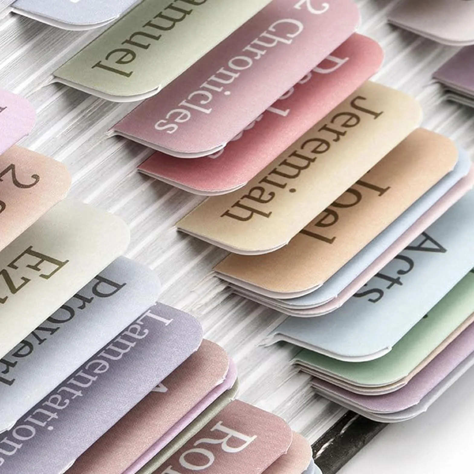 Marcadores de Biblia de letra grande - 75 pestañas laminadas para registro - Accesorios para el diario