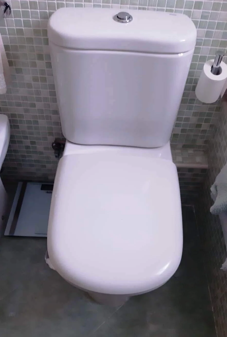 Roca A801461004 Asiento y Tapa Giralda Blanco