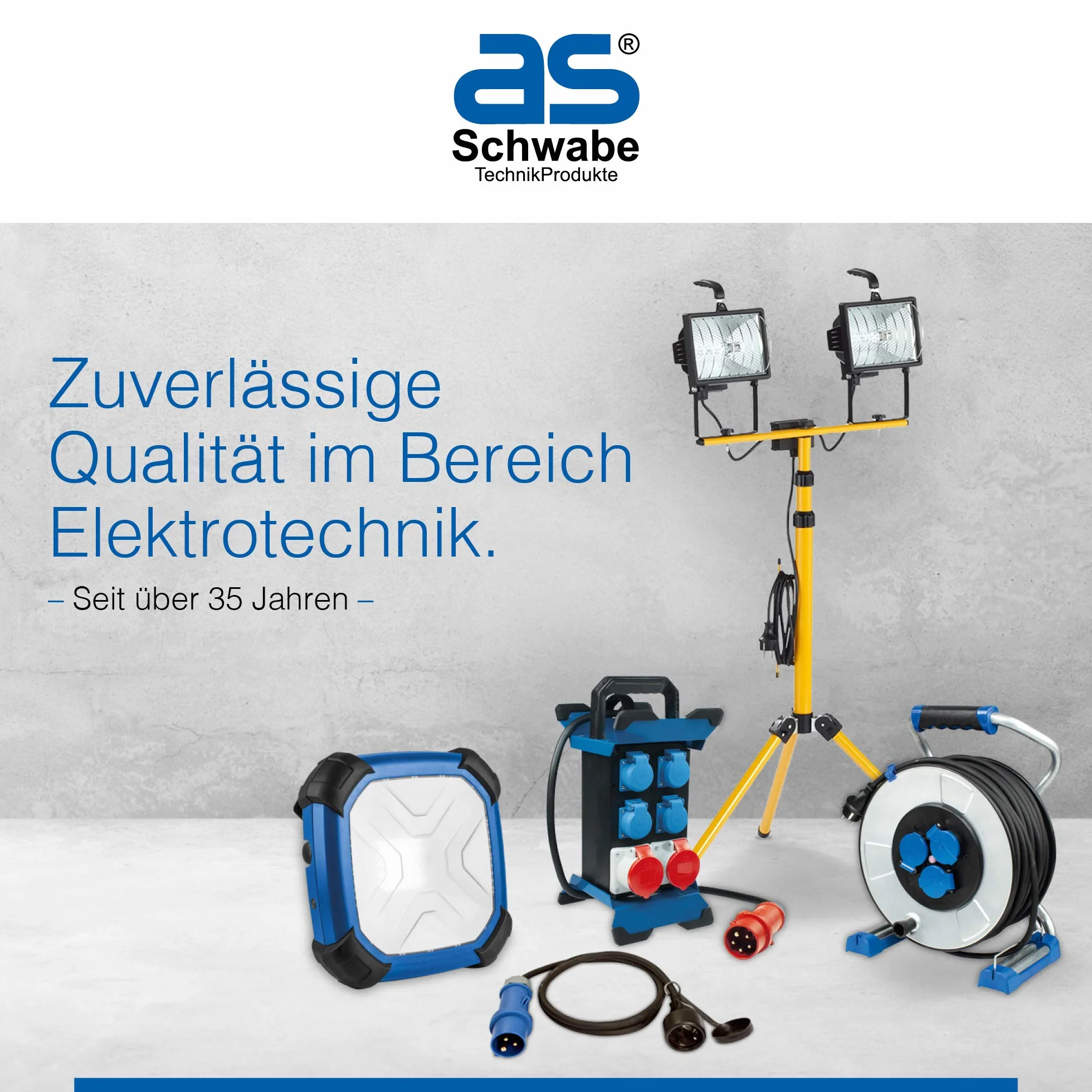 as - Schwabe - Cable de puesta a tierra - conductor de tierra de 3 m - con 1 terminal de anillo A8 / 16mm², y 1 zapata de tierra A10 / 16mm² - Fabricado en Alemania - amarillo/verde I 70869