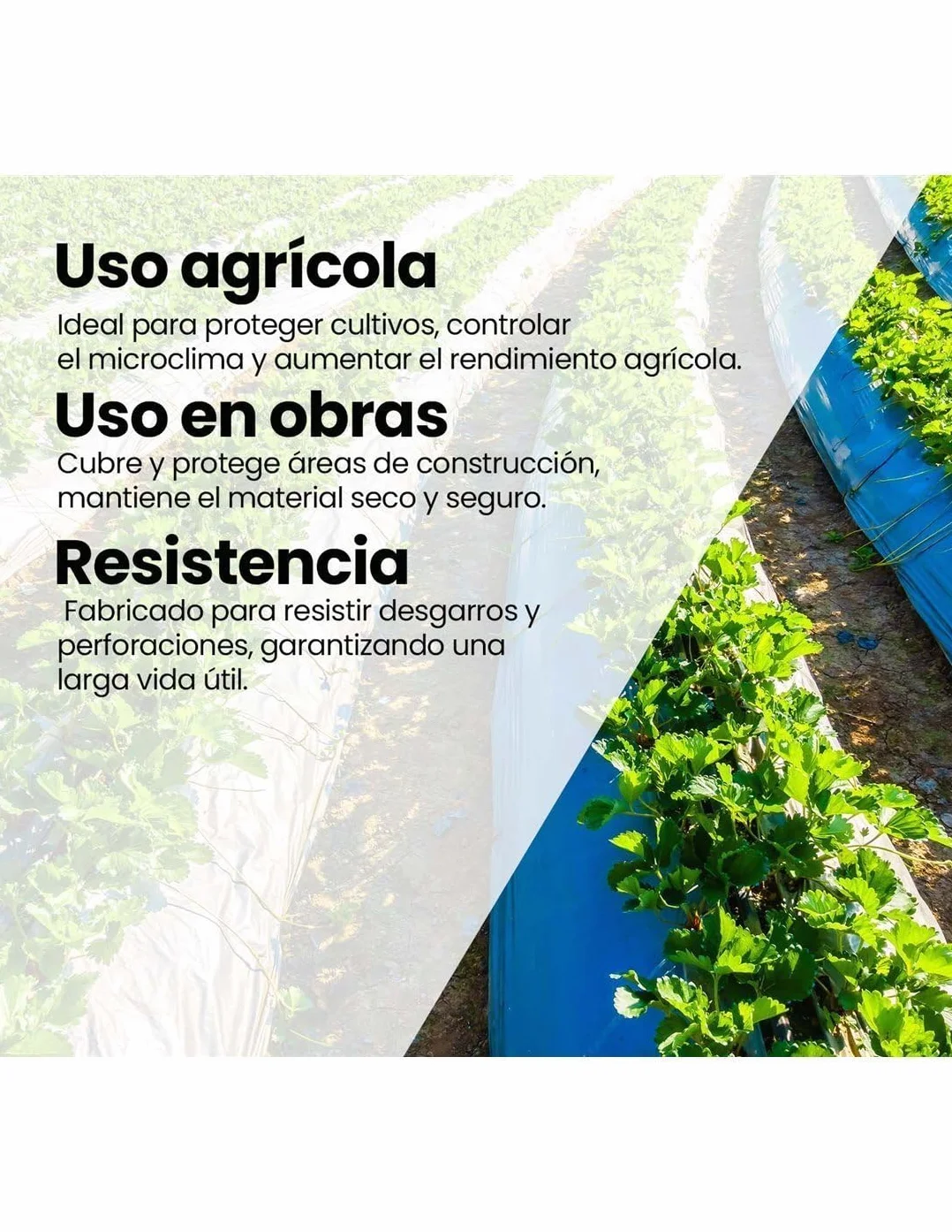 Jardin202 - Plástico para Agricultura y Obra- Transparente - 800 Galgas - DURASOL | 12x41 Metros -