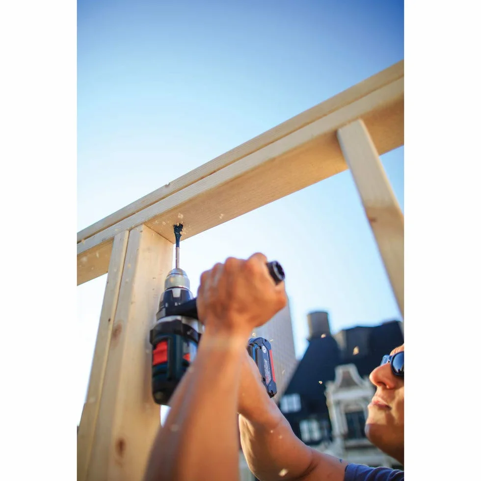 BOSCH DSB5012 - Juego surtido de 12 puntas de pala Daredevil, vástago hexagonal de 1/4 pulgadas, ideal para aplicaciones de perforación rápida en madera