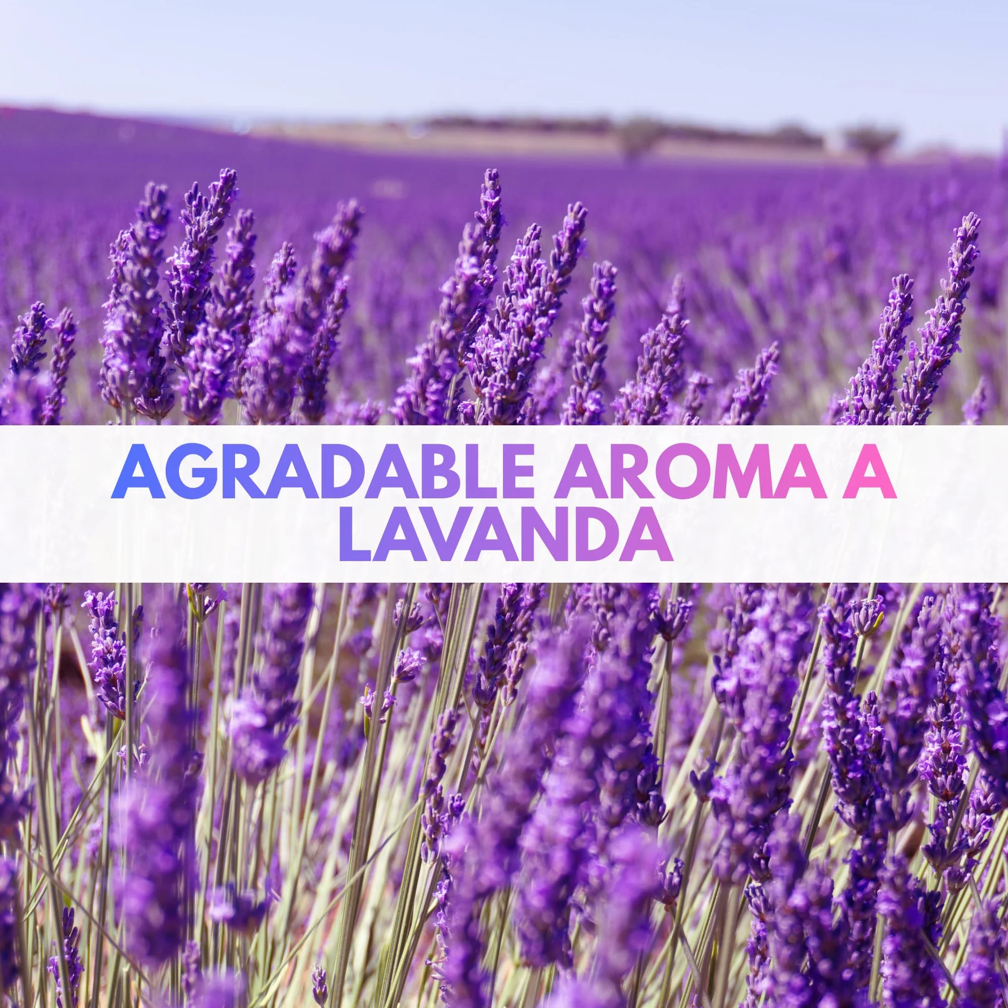 Bioetanol 99,9% Origen Vegetal con Aroma a Lavanda Combustible Limpio Sin Humo Ecológico Renovable 5 litros