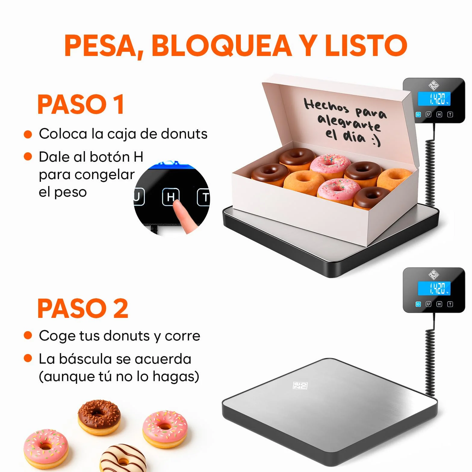 Bascula Industrial 200 kg 10 g Alta precisión Retención Tara Batería cable incluidos Plata