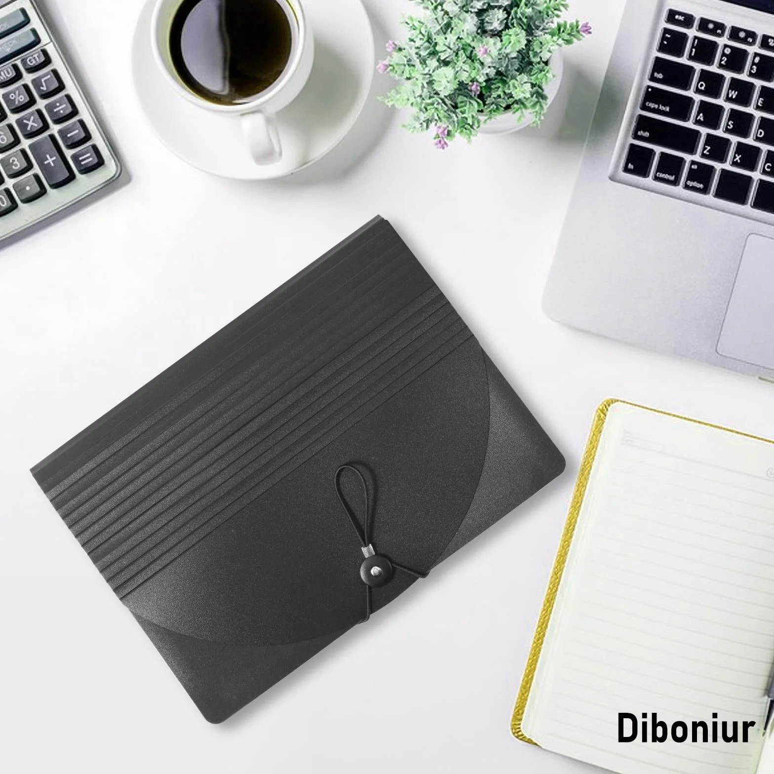 Diboniur Carpeta Acordeón A4 12 Bolsillos Organizador de Archivos Expandible para Oficina Escuela Negro