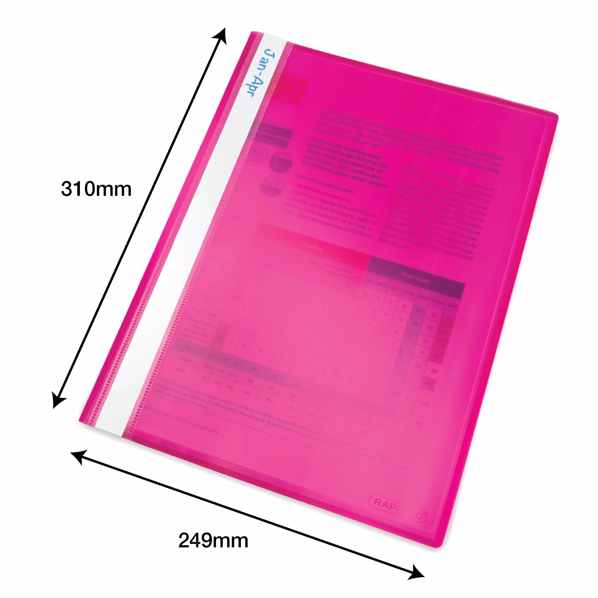 Rapesco Carpeta Flexible A4 con 10 Fundas, Colores Surtidos, 10 Unidades