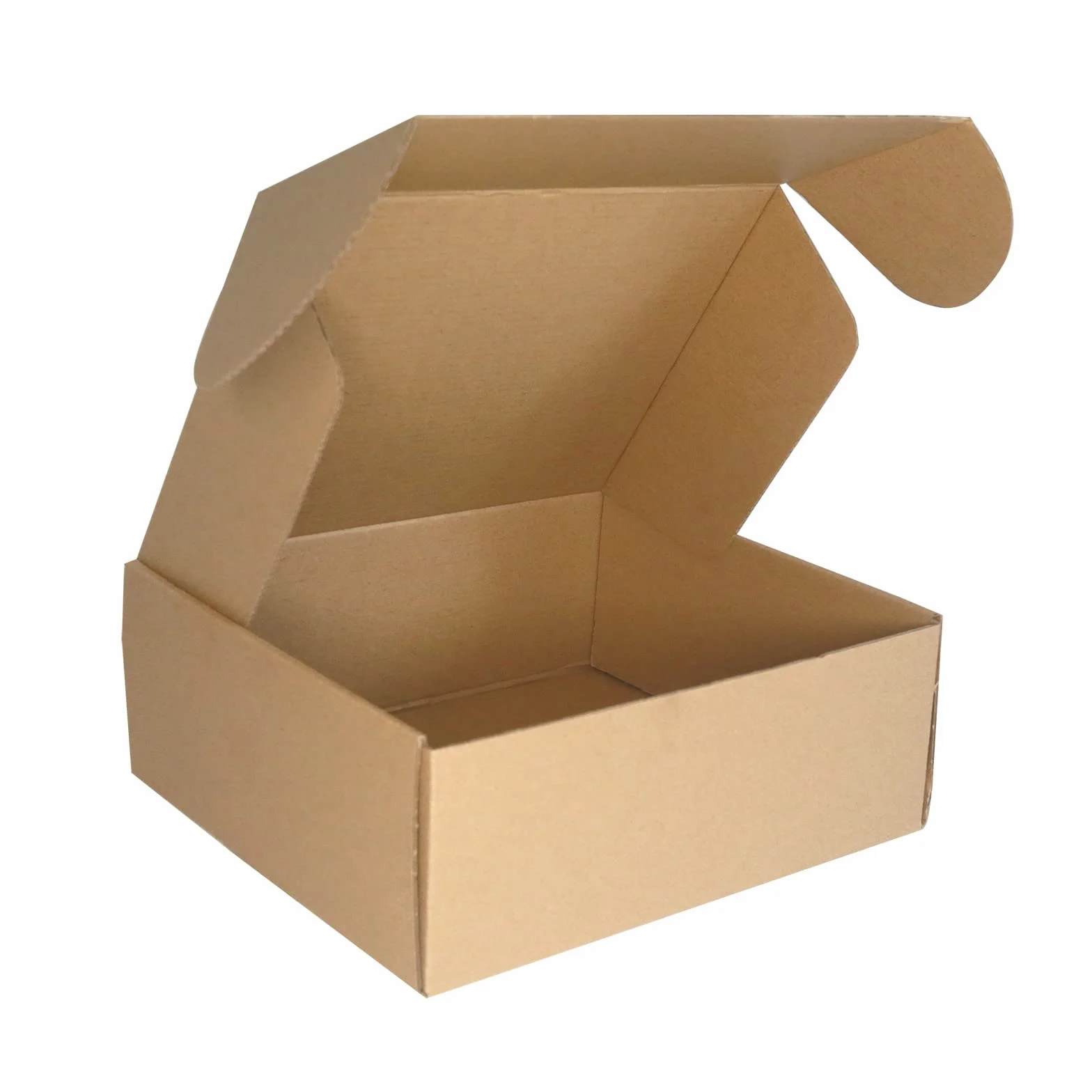Cajas Postales Pequeñas de Cartón Corrugado 250×200×100mm 10x8x4 Pulgadas 10 Piezas Marrón