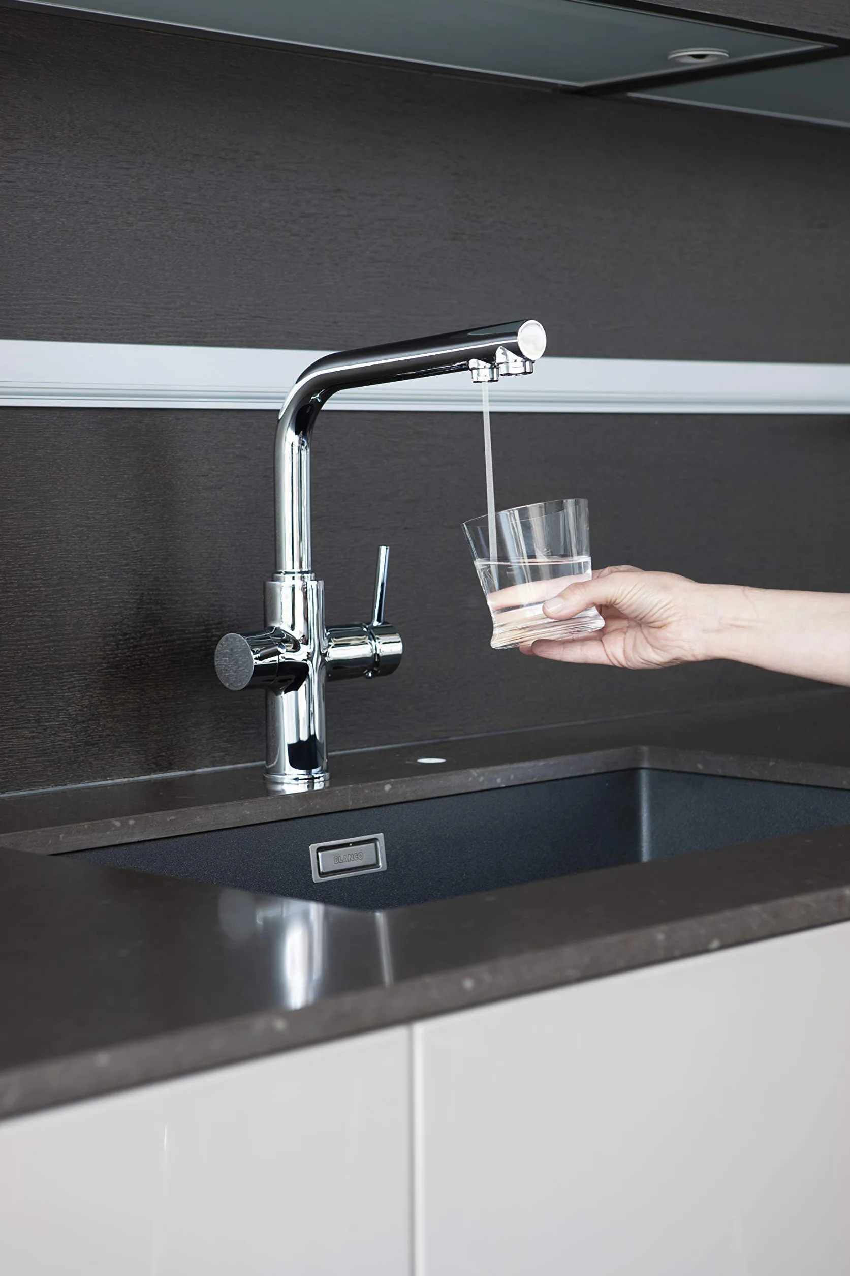 Clever 99684 Grifo de Cocina Monomando Agua Tratada Caiman Econature, Cromado