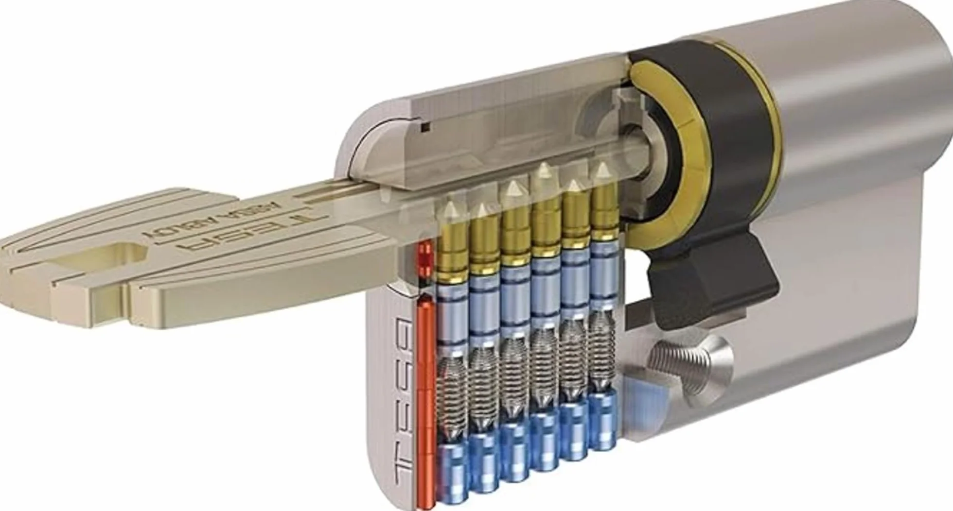 Tesa Seguridad T60 - Cilindro de llave plana reversible, Latonado, 30x30 mm