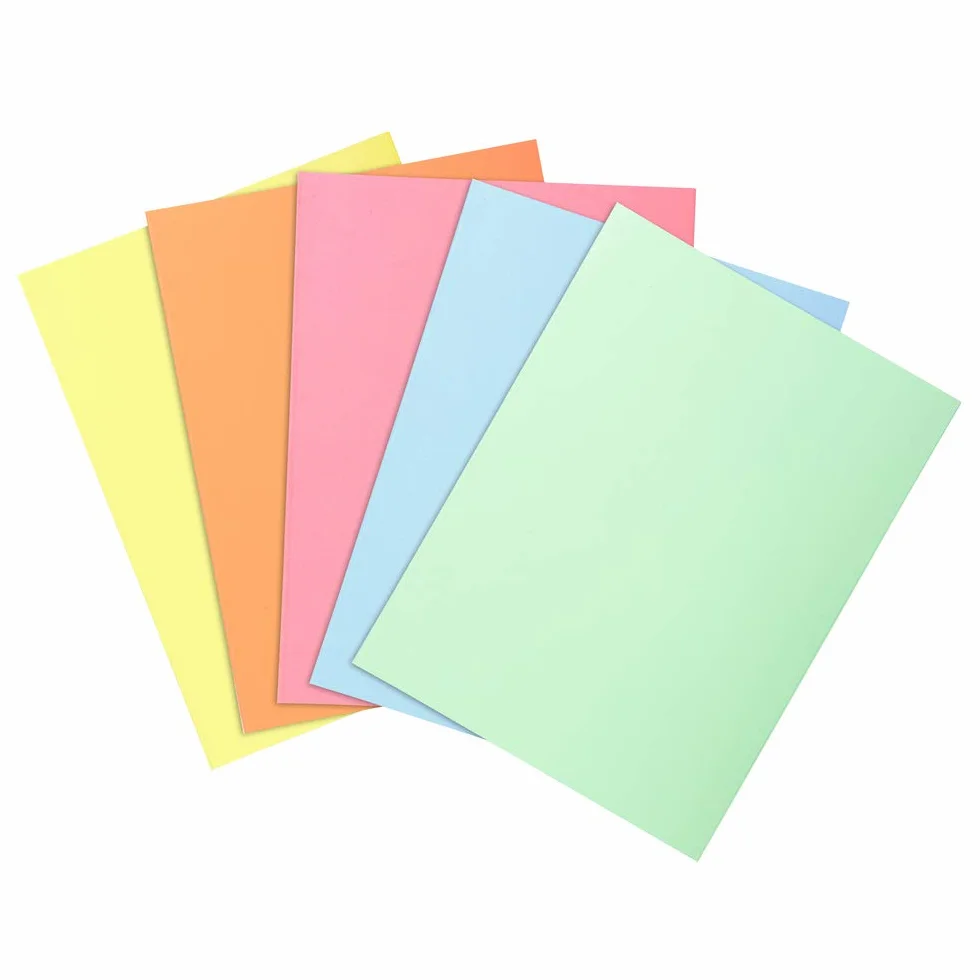 Exacompta Subcarpetas Super 60 Lote 100 Colores Surtidos