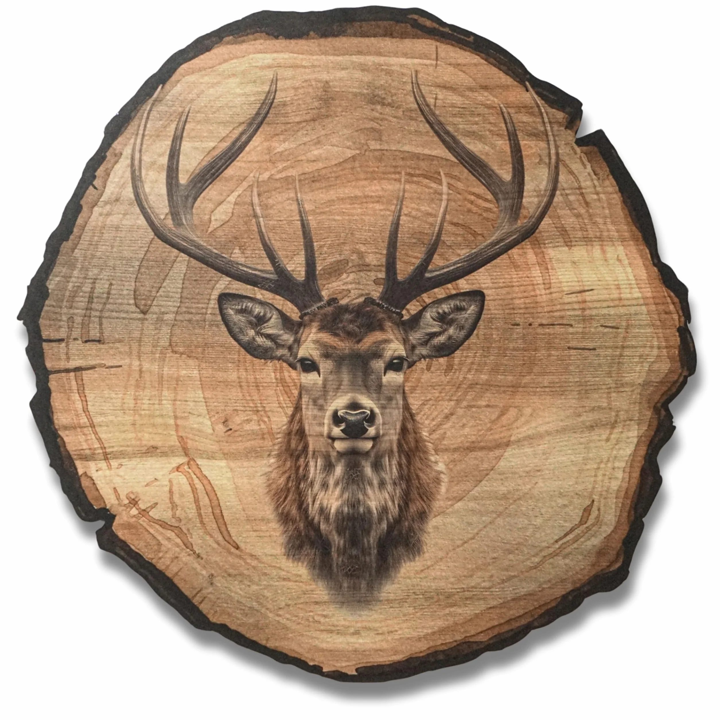 DARO Design - Cuadro de pared de ciervo, tamaño 30 cm, impresión artística lista para colgar, decoración de pared temática de caza, naturaleza, animales