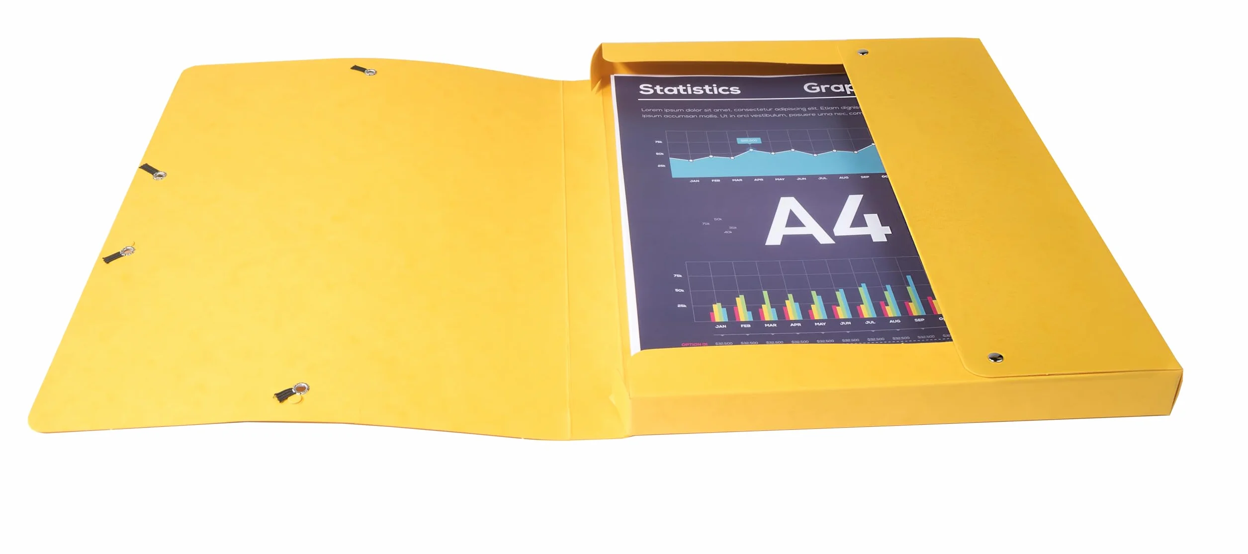 Exacompta 50300E Pack de 8 carpetas de proyecto Multicolor