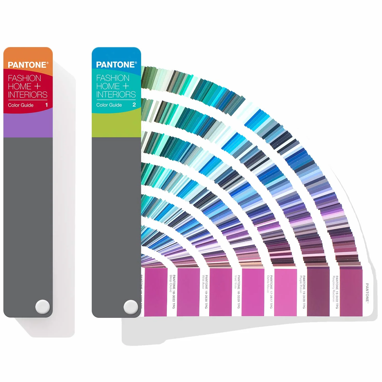Pantone FHIP110A Guía de color