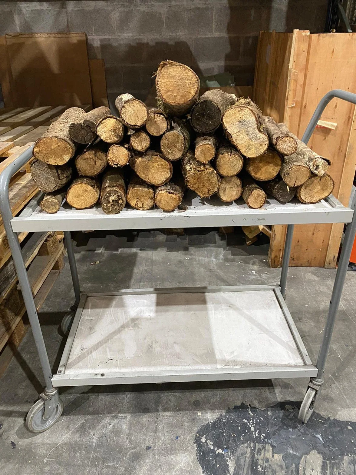 Jandei - Leña de Roble (24Kg) Tronco Mediano 30-40cm. Totalmente Seca, para Chimeneas, Barbacoas, Calderas, Estufas y Cocinas. Origen España, Marrón, JNM-0001