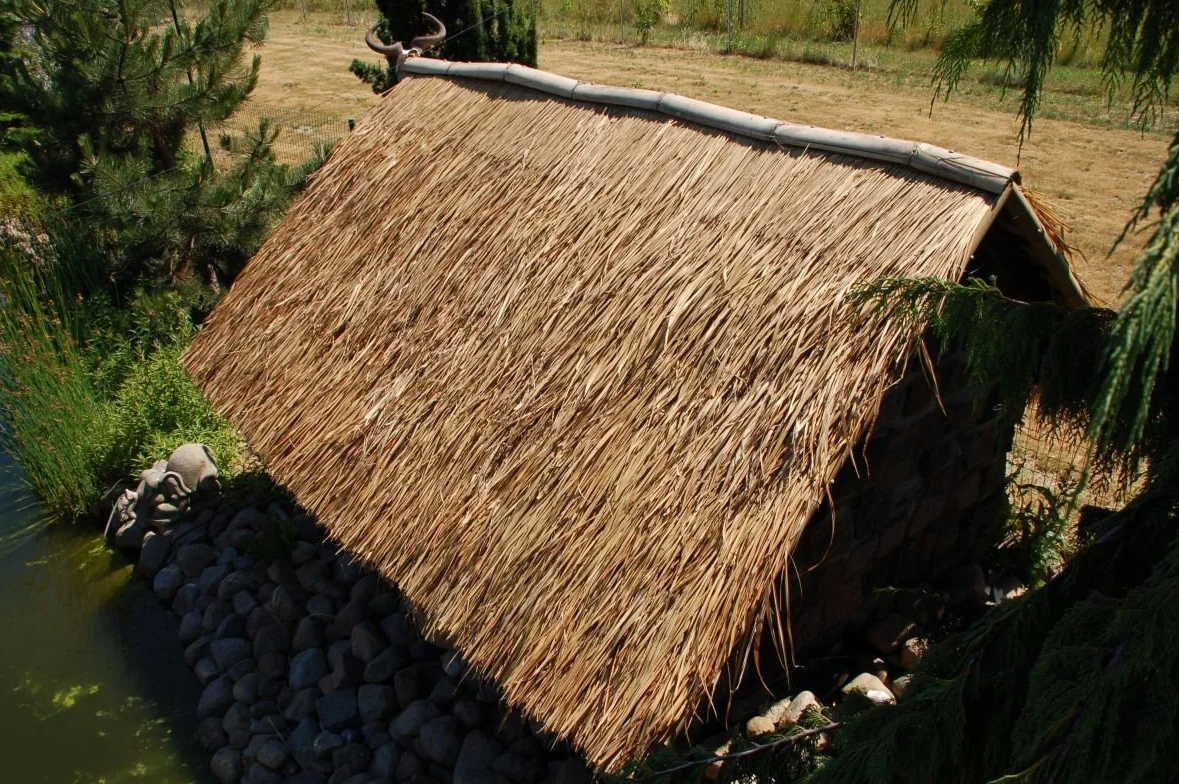 Lote de 20 Panels Natural para tejado de Palma (115 cm) tejado exótico, Refugio jardín, Gazebo, sombrilla pergola (20x12111)
