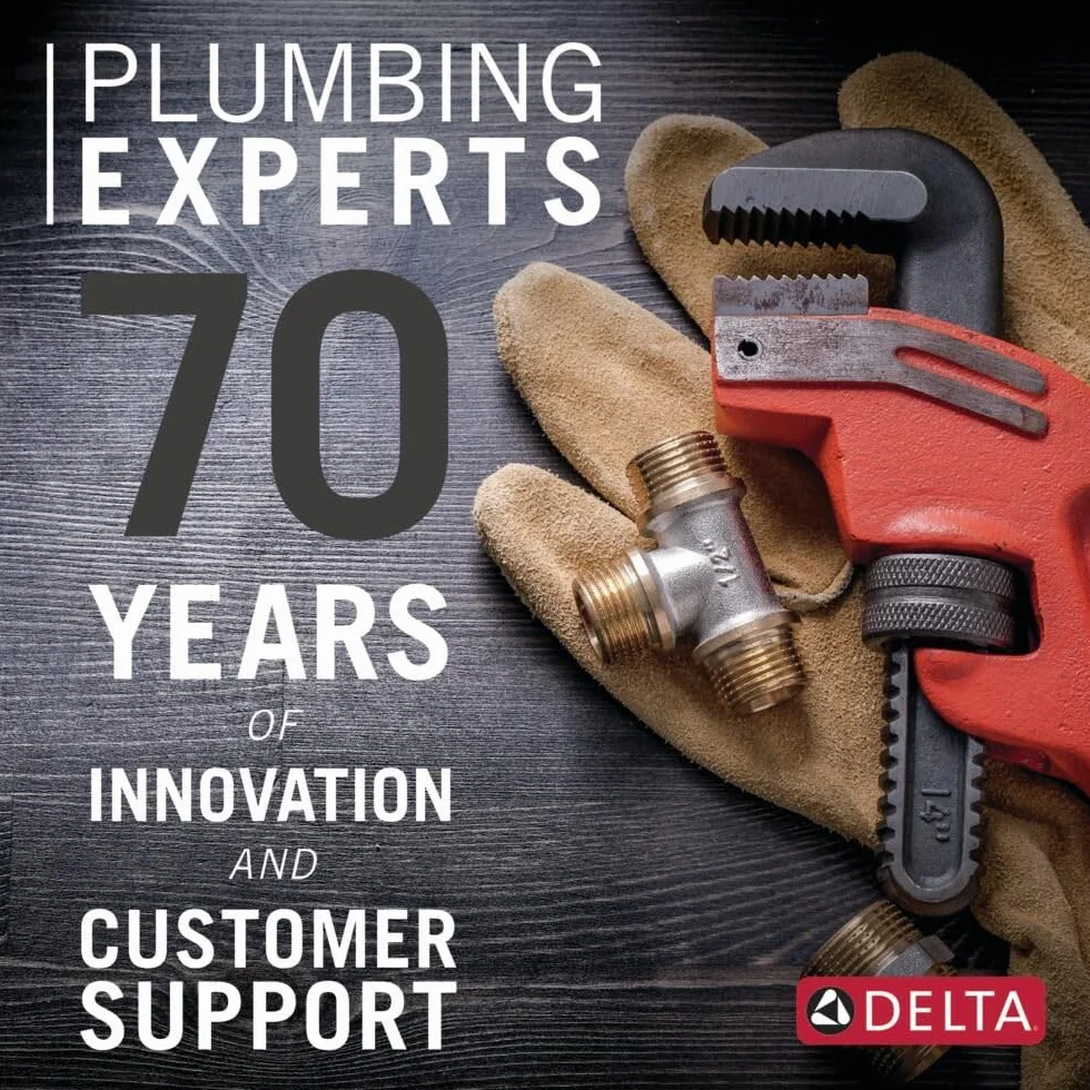 Delta grifo rp61273pn Cassidy brazo de ducha, RP61273CZ