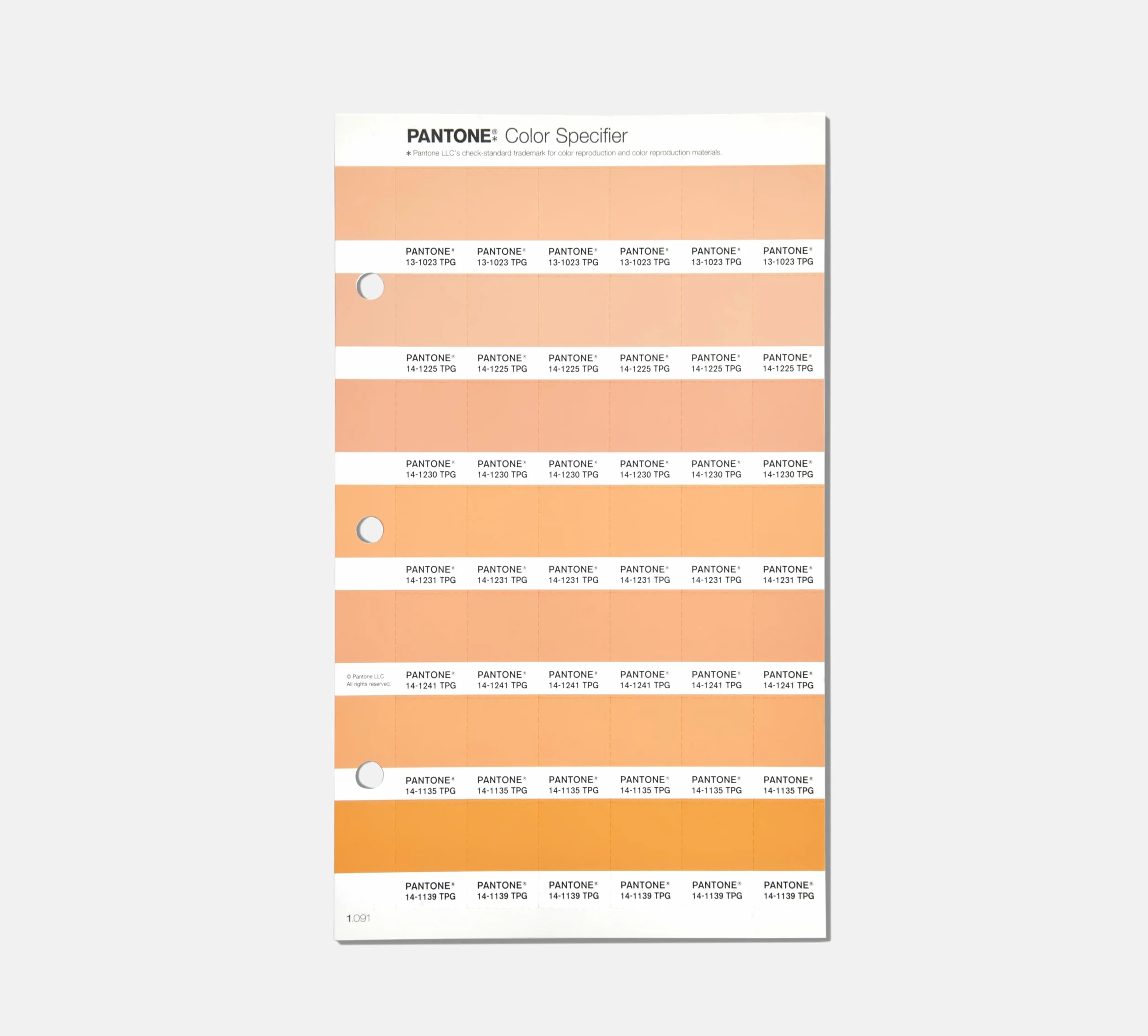 Pantone FHI Color Guide, Limited Edition Color of the Year 2024