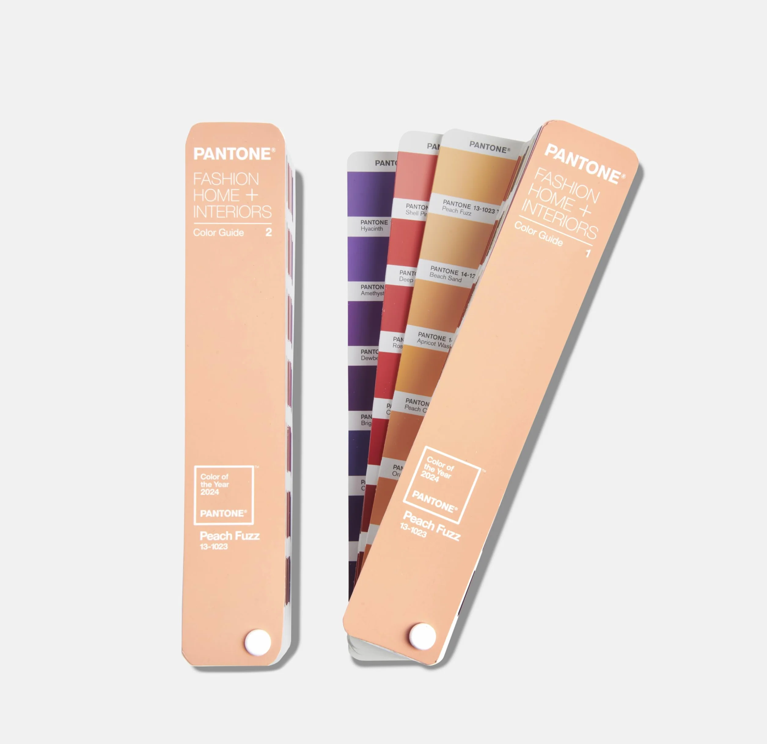 Pantone FHI Color Guide, Limited Edition Color of the Year 2024