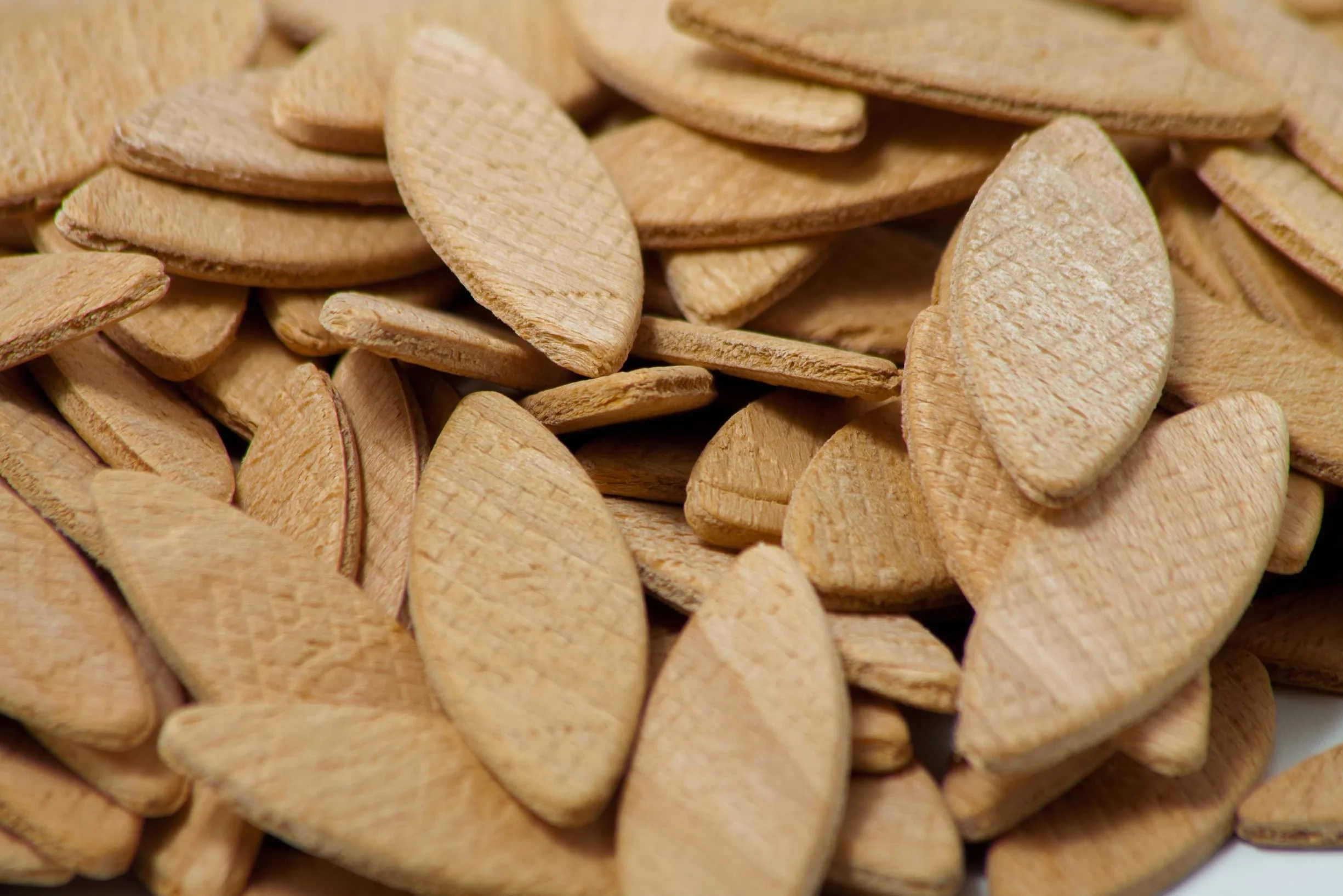 Tolux Galletas de Madera tamaño número 20, Pack de 1000 piezas, Galletas de Lamello, Galletas de Ensamble, Clavijas de Madera de Haya de la para Carpinteros y proyectos de bricolaje