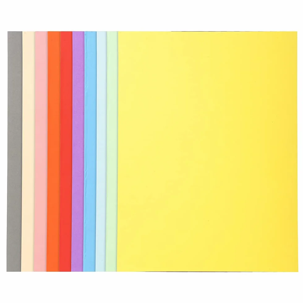 Exacompta Forever 10 Subcarpetas Lote 100 Colores Surtidos