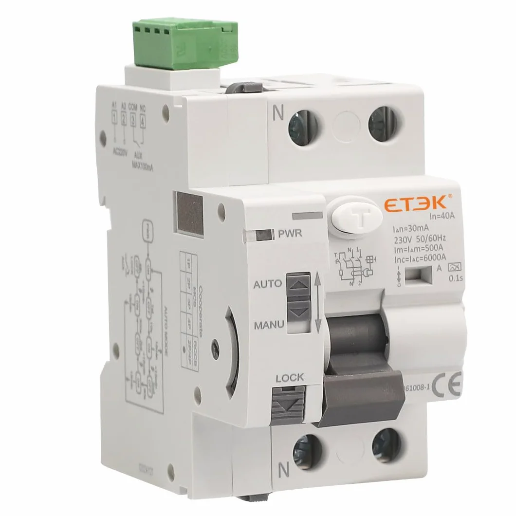 interruptor Diferencial Rearme Automatico Superinmunizado 2P 40A 30mA 6Ka TIPO A. Diferencial SI Auto Rearmable Super Inmunizado. Carril Din.