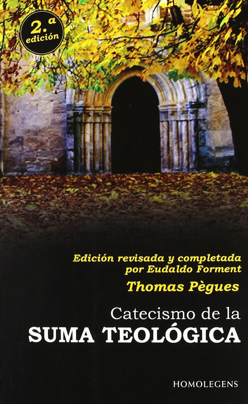 Catecismo de la suma teológica
