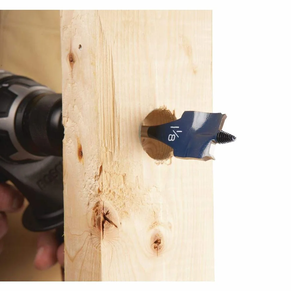 BOSCH DSB5010 Daredevil - Juego de puntas de pala estándar de 10 piezas con rosca de cono completo y punta espolonada, azul