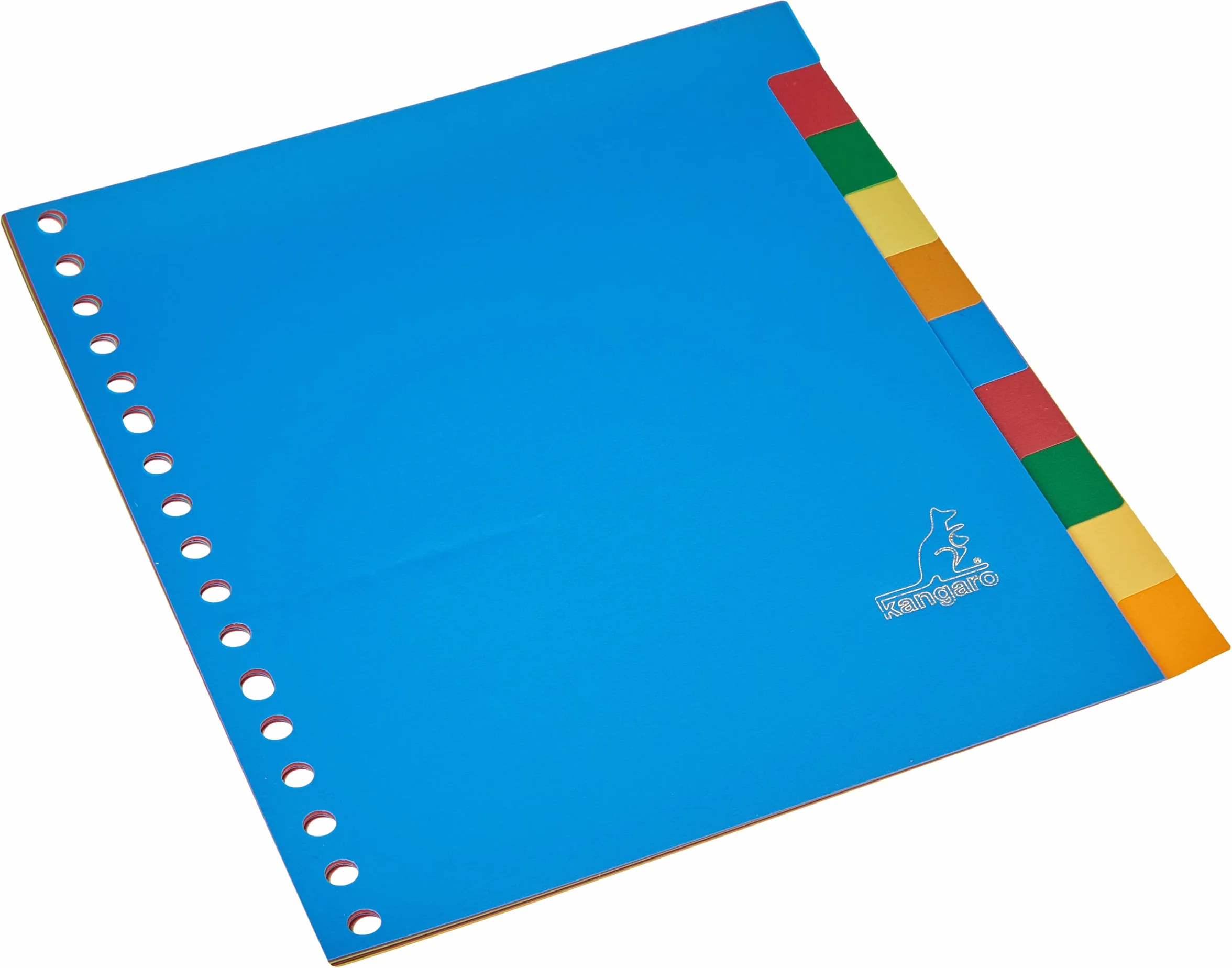 Kangaro Tabletas Register A5 en blanco de polipropileno, 120 micras, 17 unidades, surtidas, 21 x 18 x 0,1 (producto holandés)