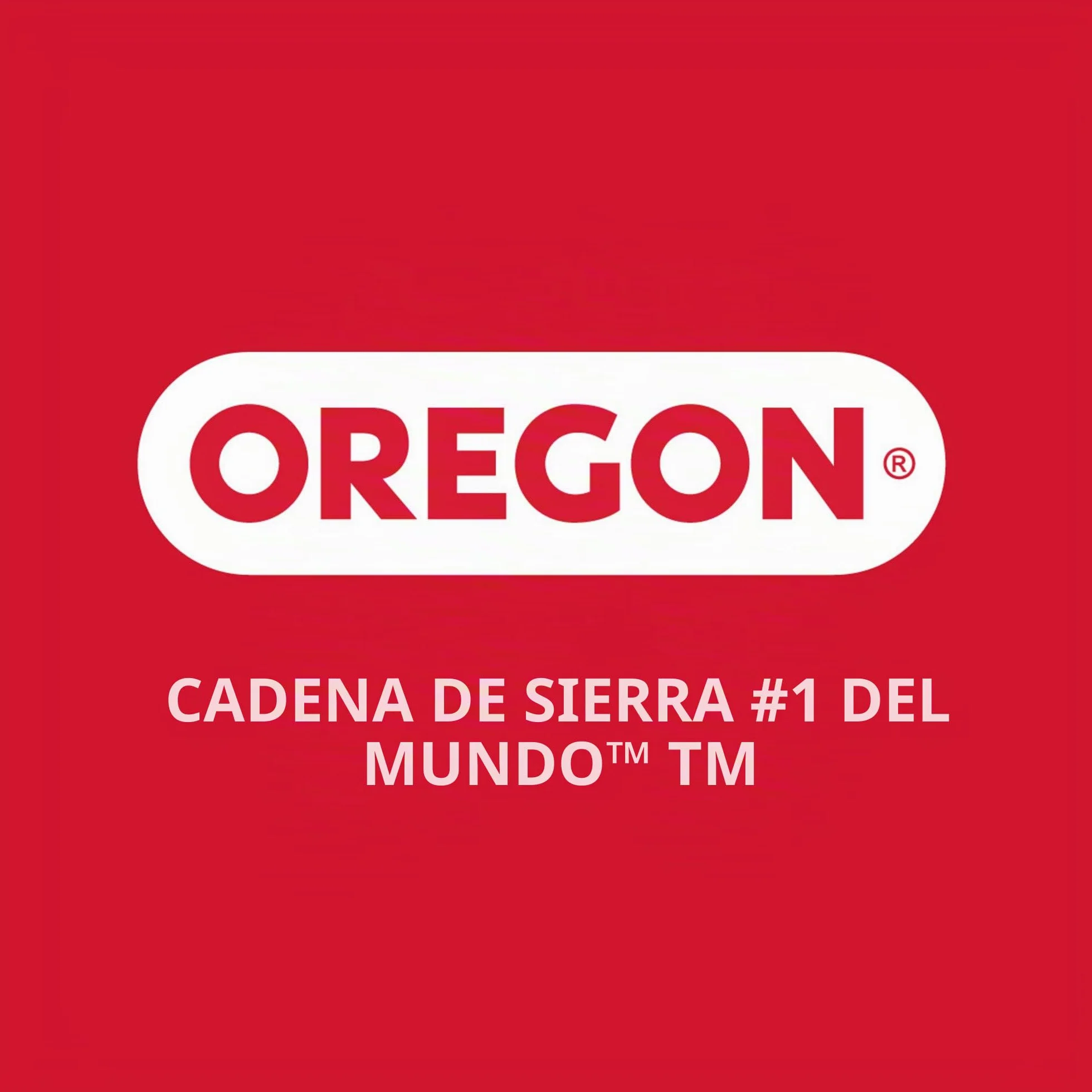 Oregon Barra Guía de Motosierra 16" 40 cm Espada Reversible A041 Paso 3/8"LP Calibre 1,3 mm Compatible con Husqvarna Makita Poulan