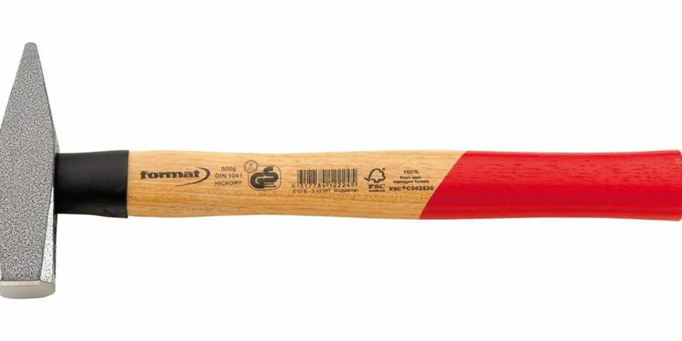 Format 7667772000 - Martillo de herrero d10412000g
