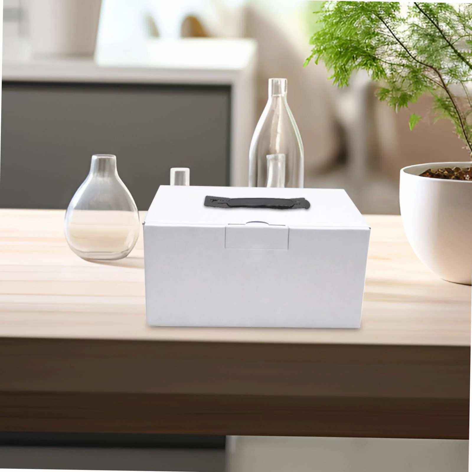 Caja De Cartón Hebilla Asas De Plástico Para Envíos Diseño Moderno
