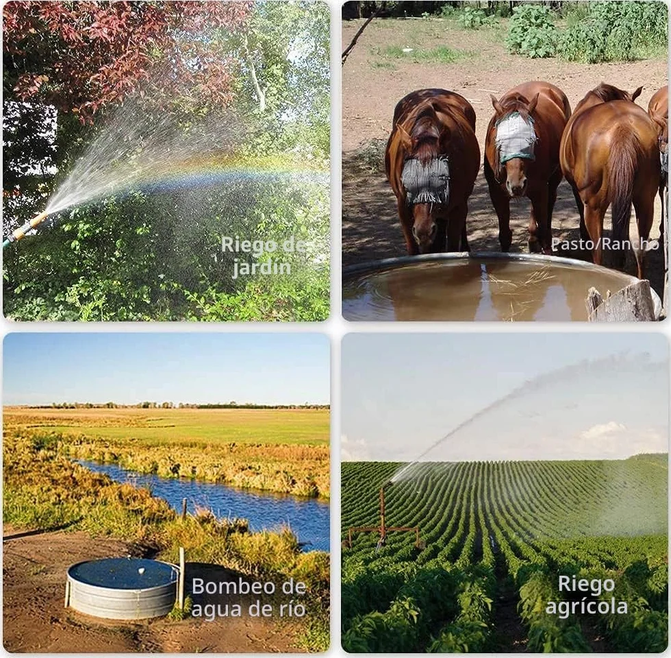 DCHOUSE Bomba Sumergible Acero Inoxidable 12V 230 Pies Elevación 100 Piles Pozo Profundo Agua Solar
