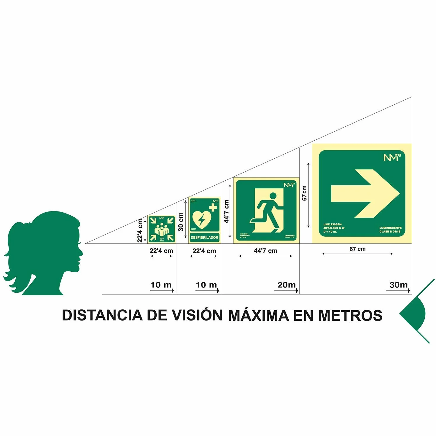 Señal luminiscente SALIDA DE EMERGENCIA PVC 0,7mm Clase B 594X210mm homologado CTE, RIPCI nueva ley ref.FRD1H006