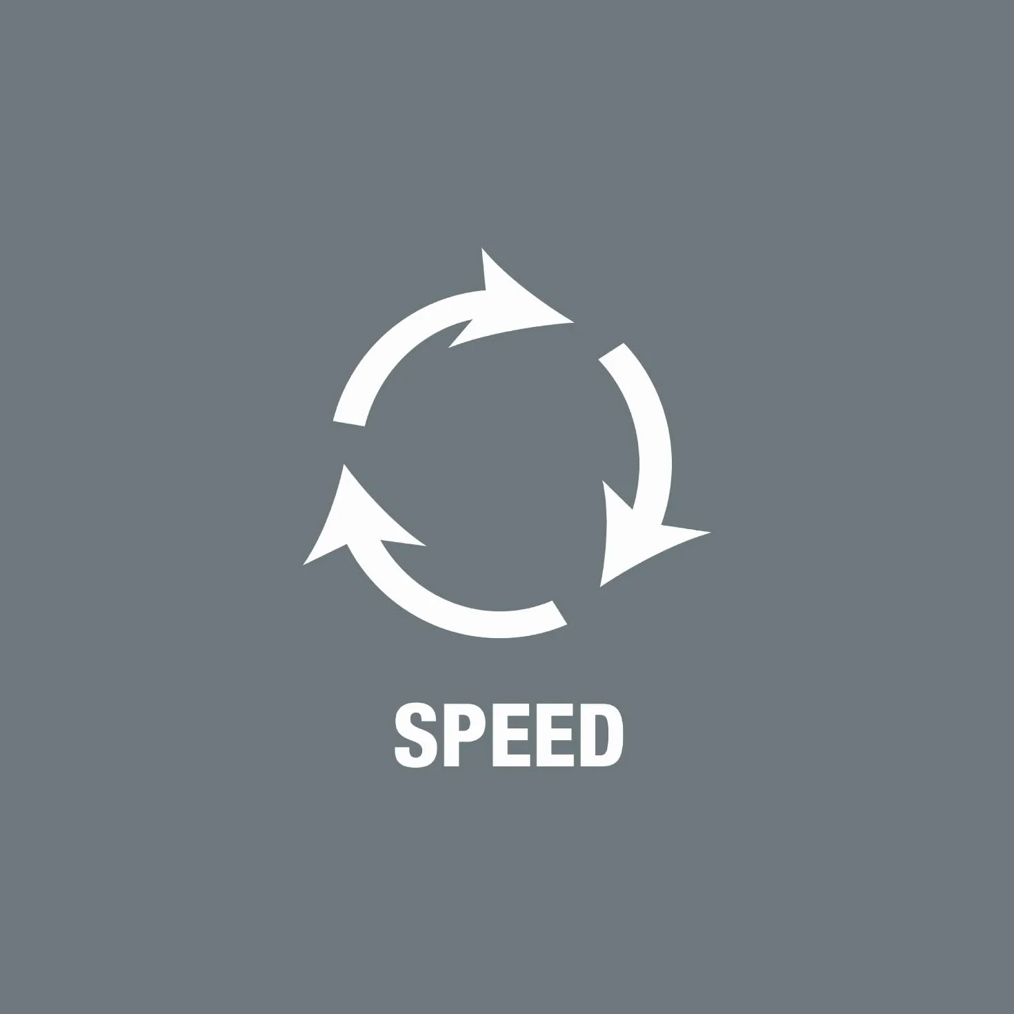 Wera 05003755001 8100 SA All-in Juego de carraca Zyklop Speed, Negro, Cromo, Verde, 1/4"