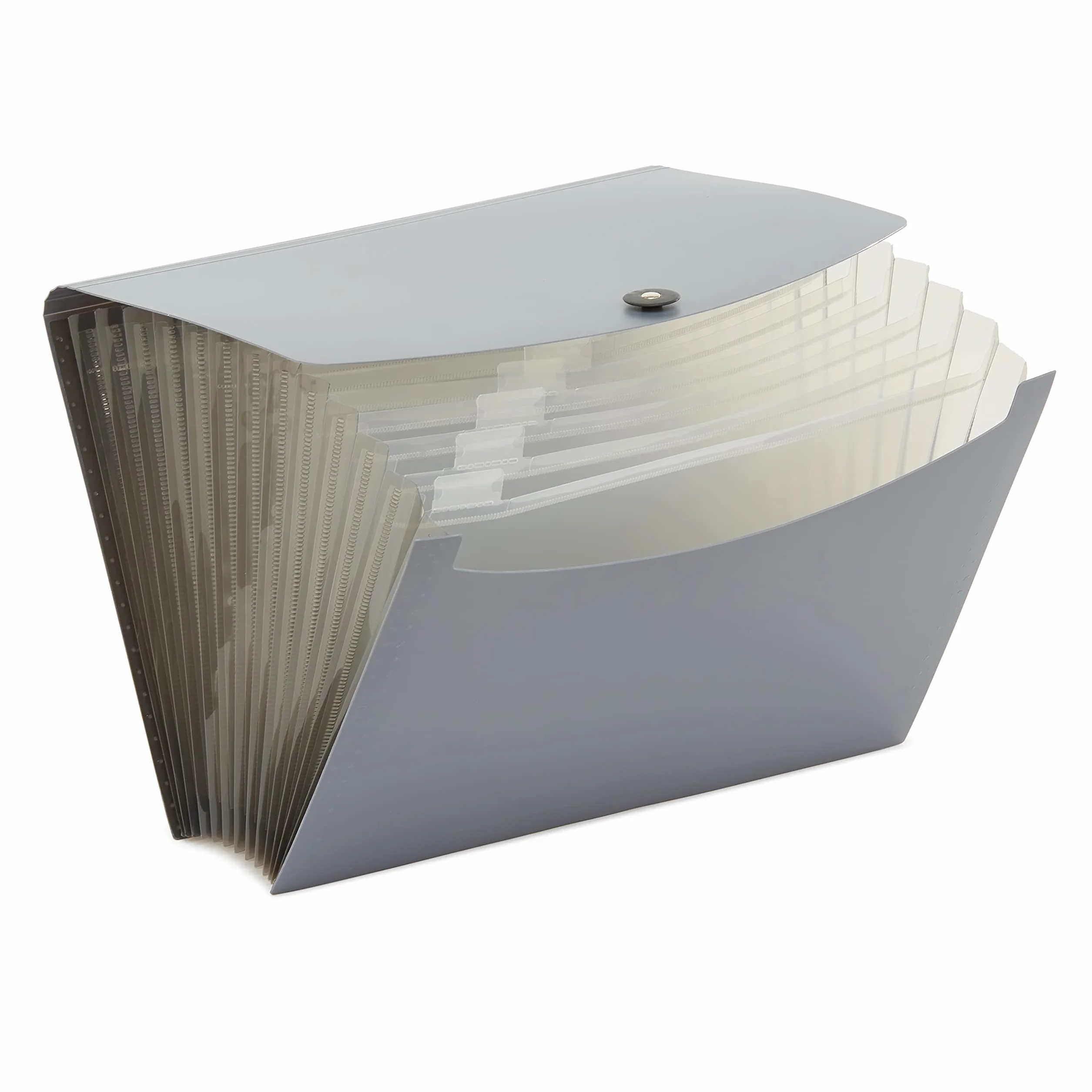 Amazon Basics Carpeta acordeón A4, Paquete de 2, Gris/Negro