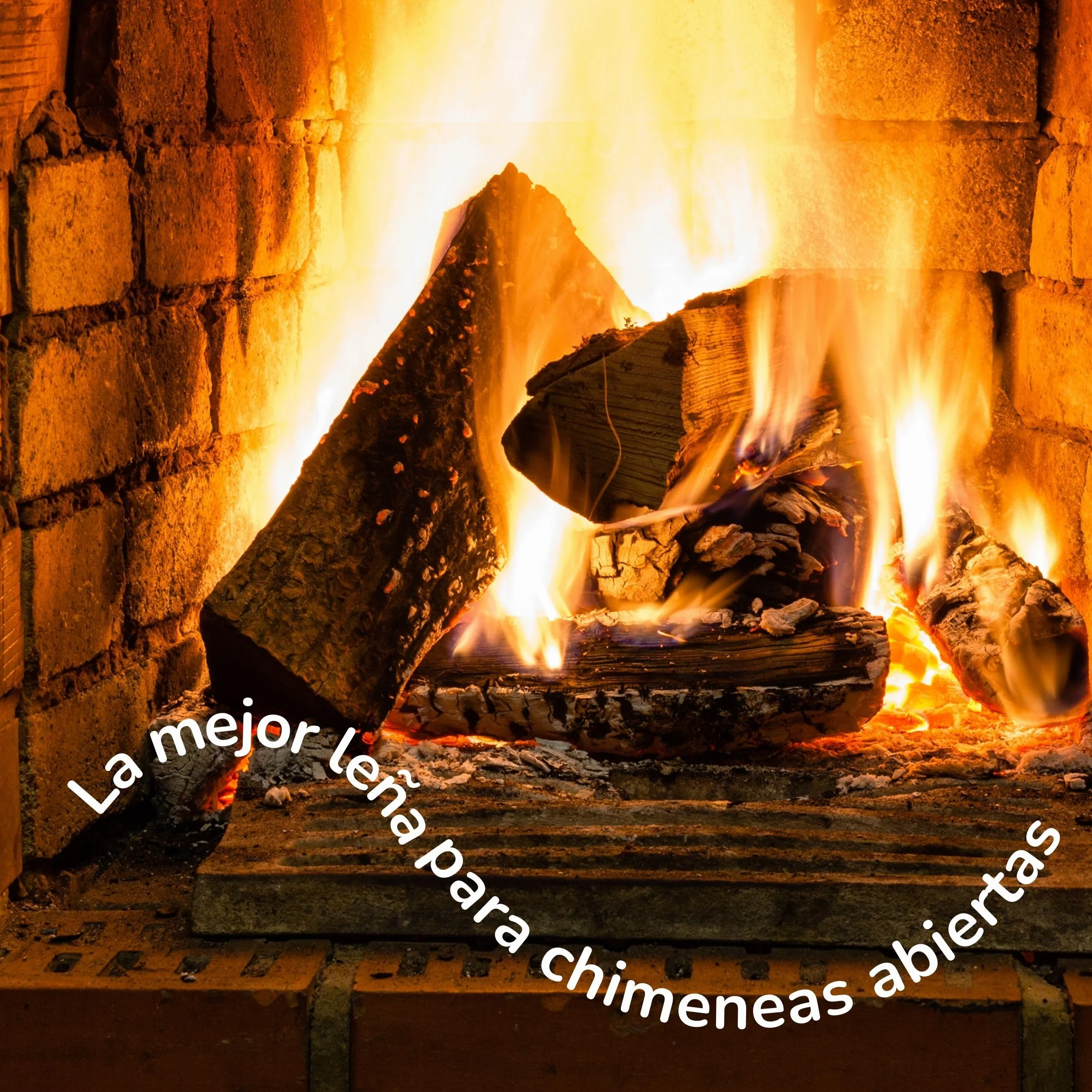 Leña de Olivo 25kg para Chimenea, Estufa, Barbacoa, Horno - Alto Poder Calorífico