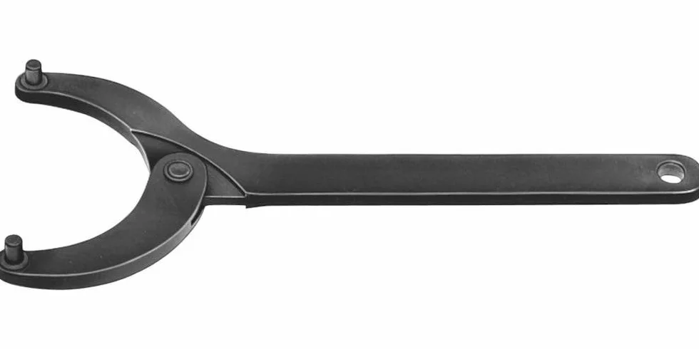 AMF 0007658260035 - Llave de espigas articulada (80-125 mm)