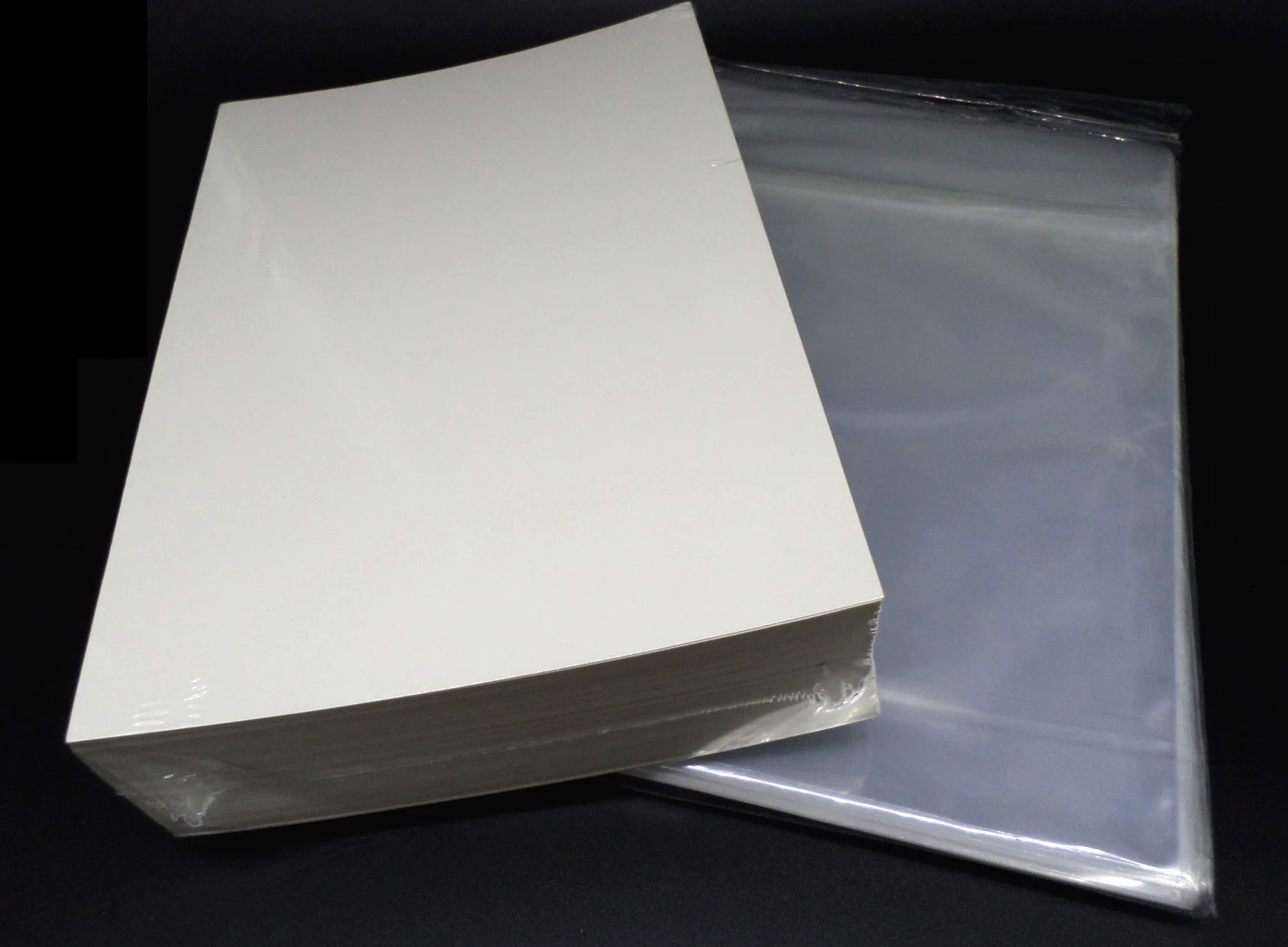 docsmagic.de 100 Silver Resealable Comic Bags + Backing Boards Combo Pack 181 x 266 mm