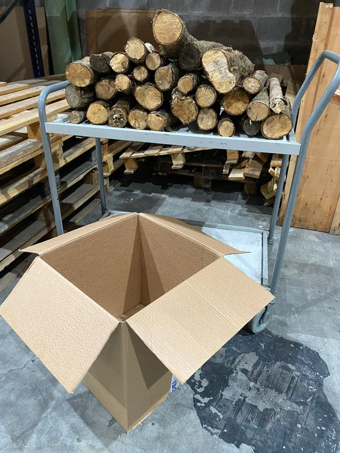 Jandei - Leña de Roble (24Kg) Tronco Mediano 30-40cm. Totalmente Seca, para Chimeneas, Barbacoas, Calderas, Estufas y Cocinas. Origen España, Marrón, JNM-0001