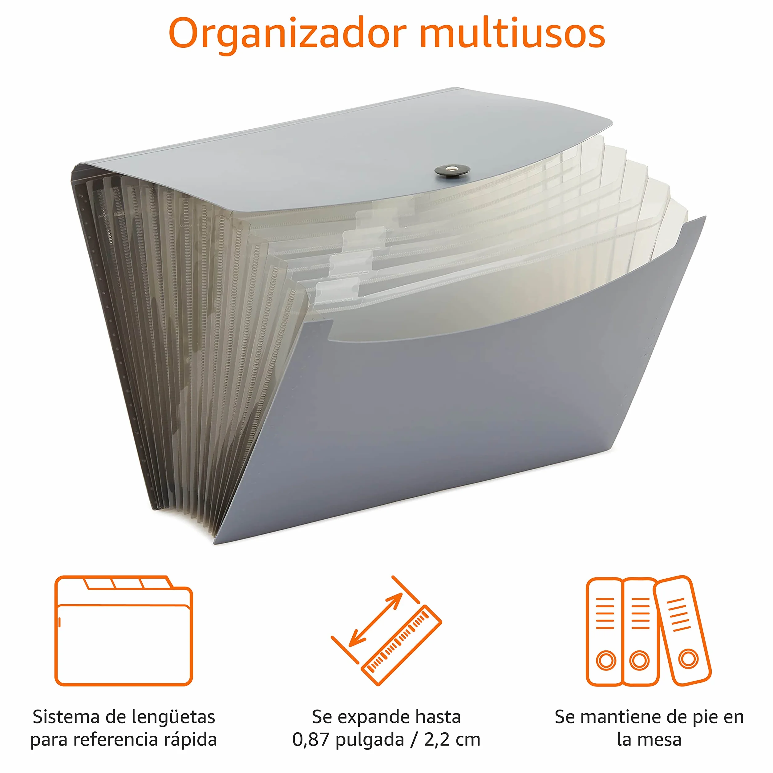 Amazon Basics Carpeta acordeón A4, Paquete de 2, Gris/Negro