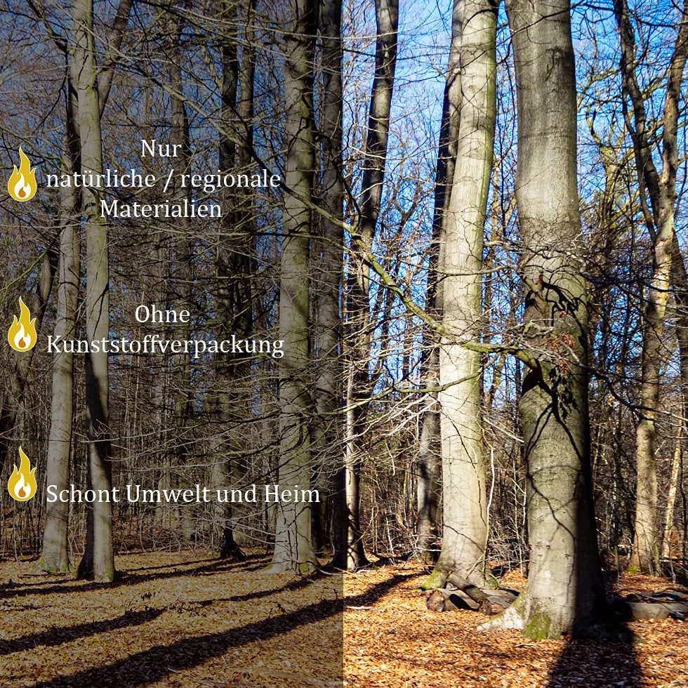 Leña de Haya 30 kg 25 cm para Estufa Chimenea Brasero