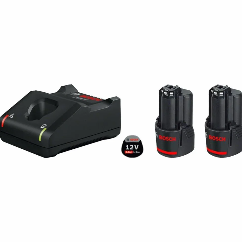 Power set 2 bat x 12V 3,0Ah + GAL 12V-40 Professional