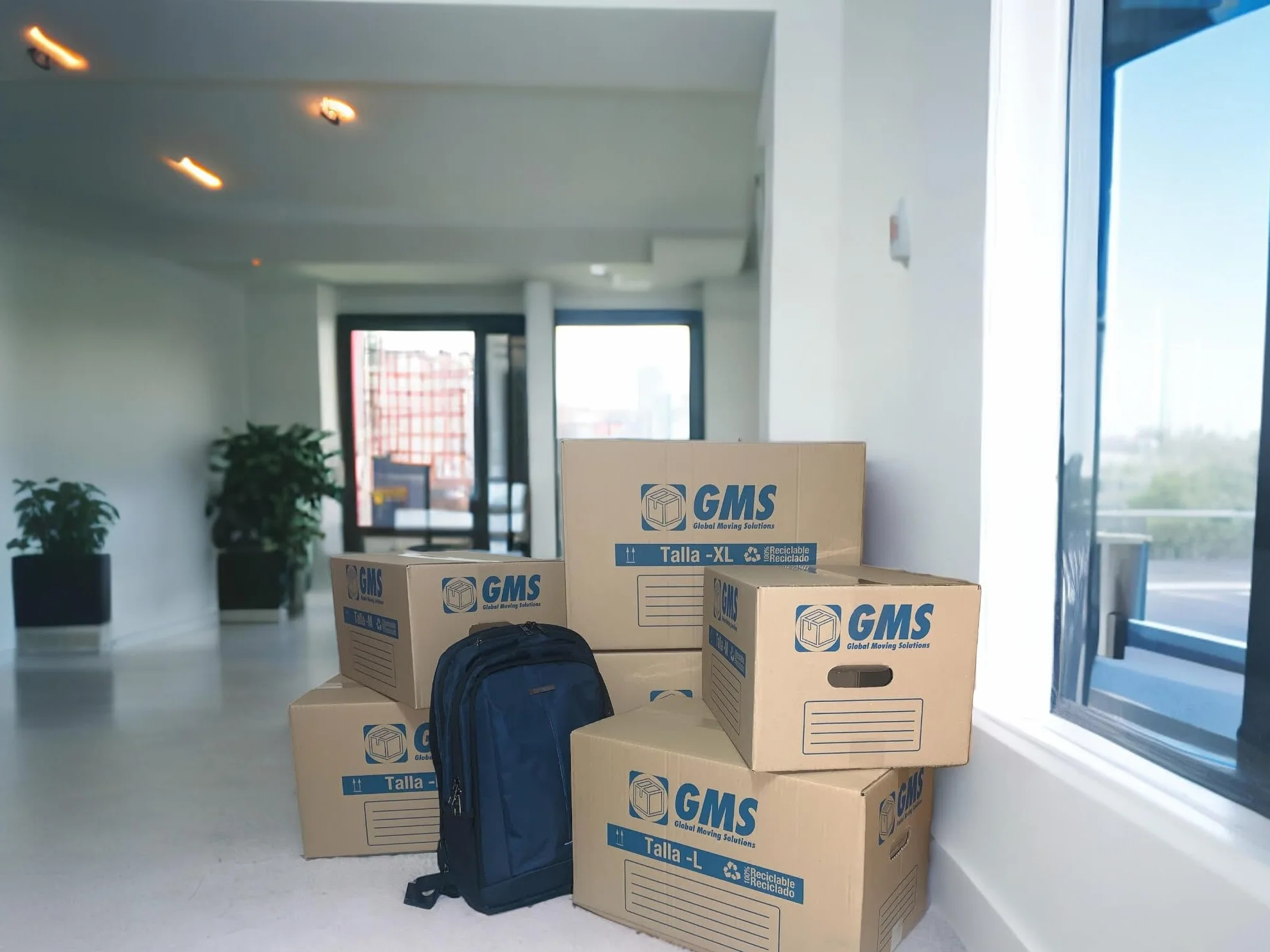Cajas Mudanza 50x30x30cm Carton Gran Capacidad Precinto GMS Almacenaje Asas 20 Cajas