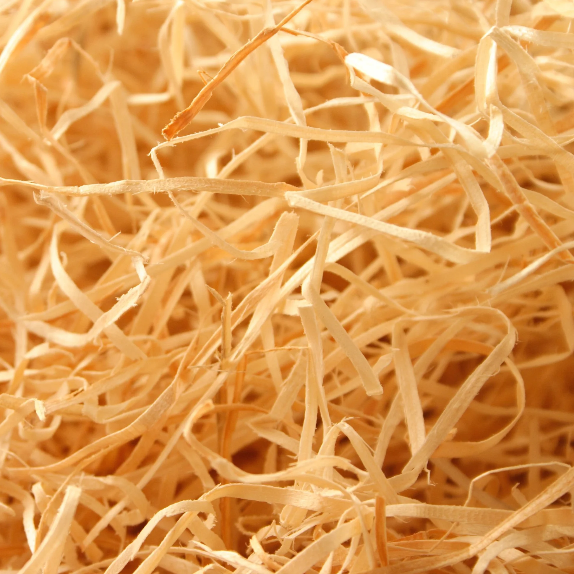 WW1KG - Lana de Madera Seca al Horno, Natural