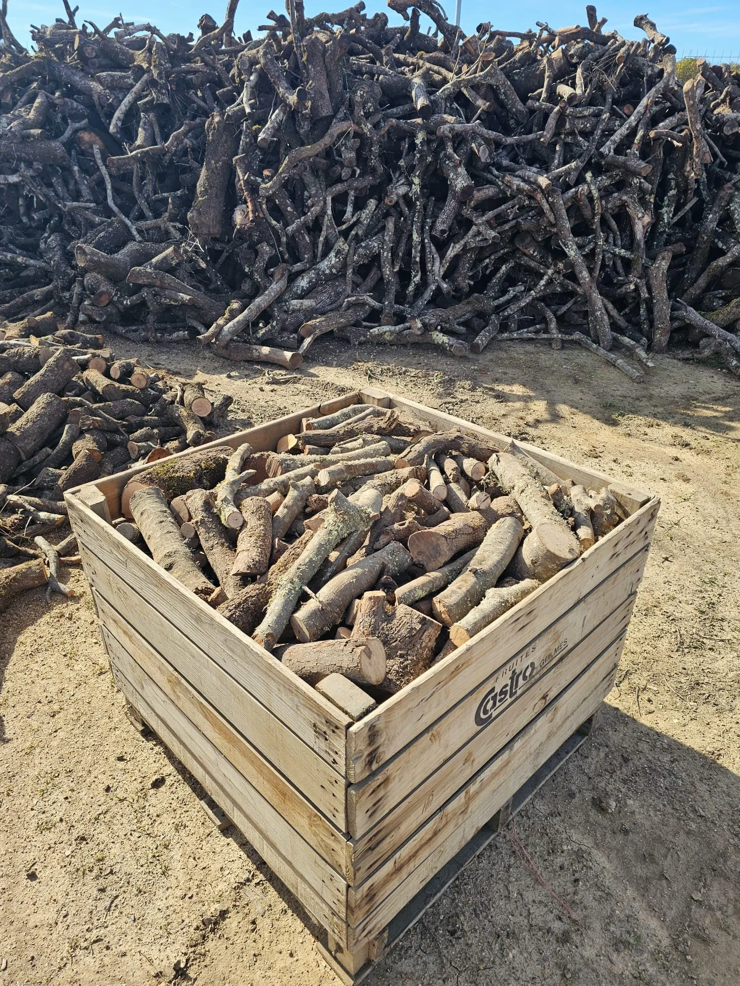 Cajón Leña de Encina 1200kg (3x400). Leña para Chimenea, Caldera y/o Estufa. Leñas de Las más duras Que Hay. Tiene una Larga consistencia y duración. Troncos medianos. Leñas Encina.