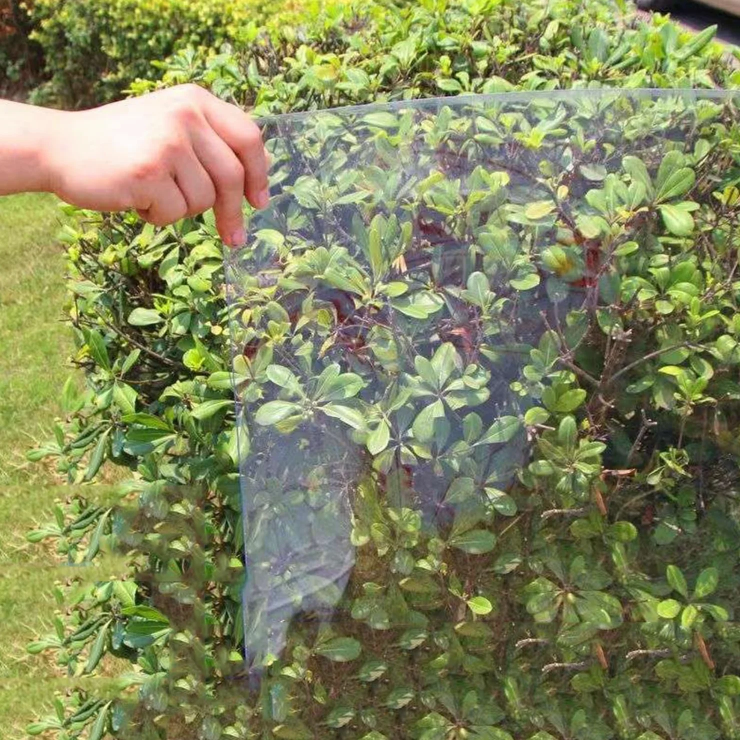 Paneles de Techo de Placas de Policarbonato Transparente Lámina de Acrílico,Hoja de Plástico Impermeable,Protección UV,para Invernaderos,Jardín Toldos,Cocheras,Fácil de Cortar (0.8x2m)